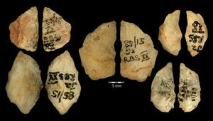 Menschen jagten schon vor 60.000 Jahren mit Giftpfeilen