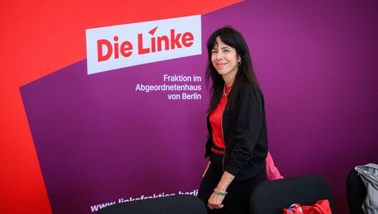 Berliner Abgeordnetenhaus - Die Linke