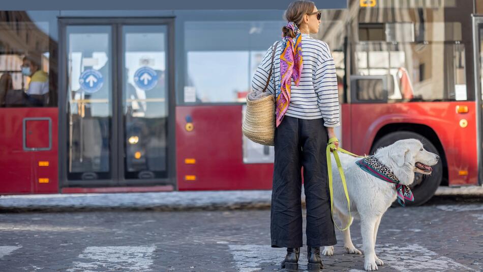 Blinde Frau mit Hund wird aus dem Bus geworfen.