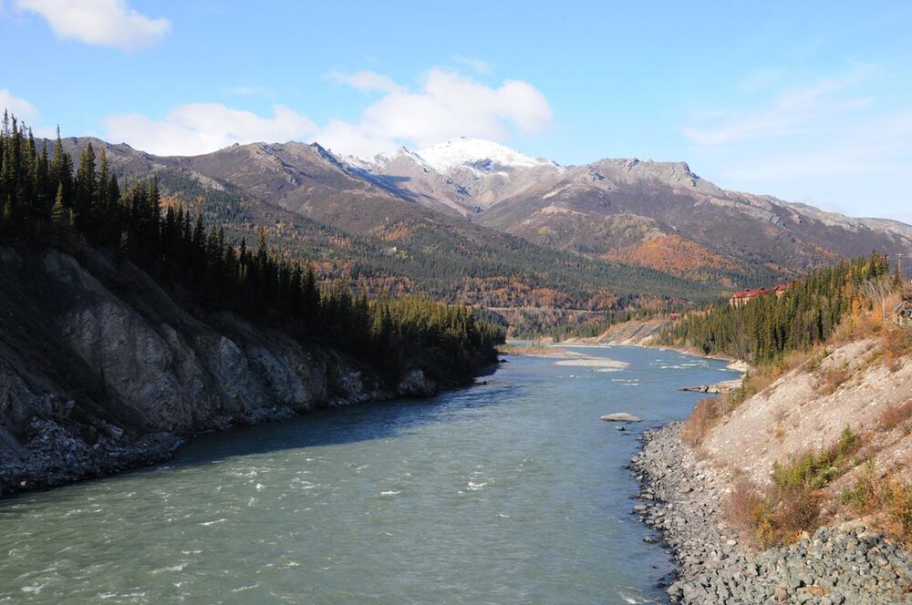 Denali-Nationalpark in Alaska