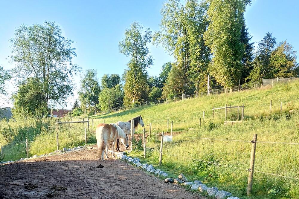 Trail-Haltung ist nicht für jeden Besitzer etwas