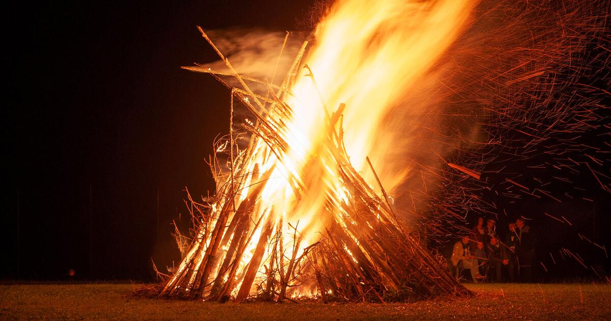 Hohe Waldbrandgefahr Bayerische Kommunen verbieten offene Feuerstellen