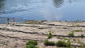 Niedrigwasser an der Elbe
