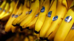 Bananen mit Sticker im Supermarkt