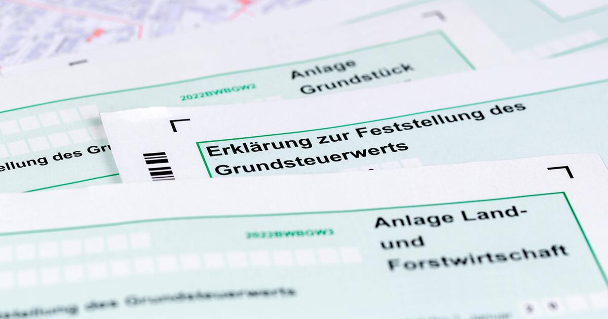 Grundsteuererklarung Frist Verpasst