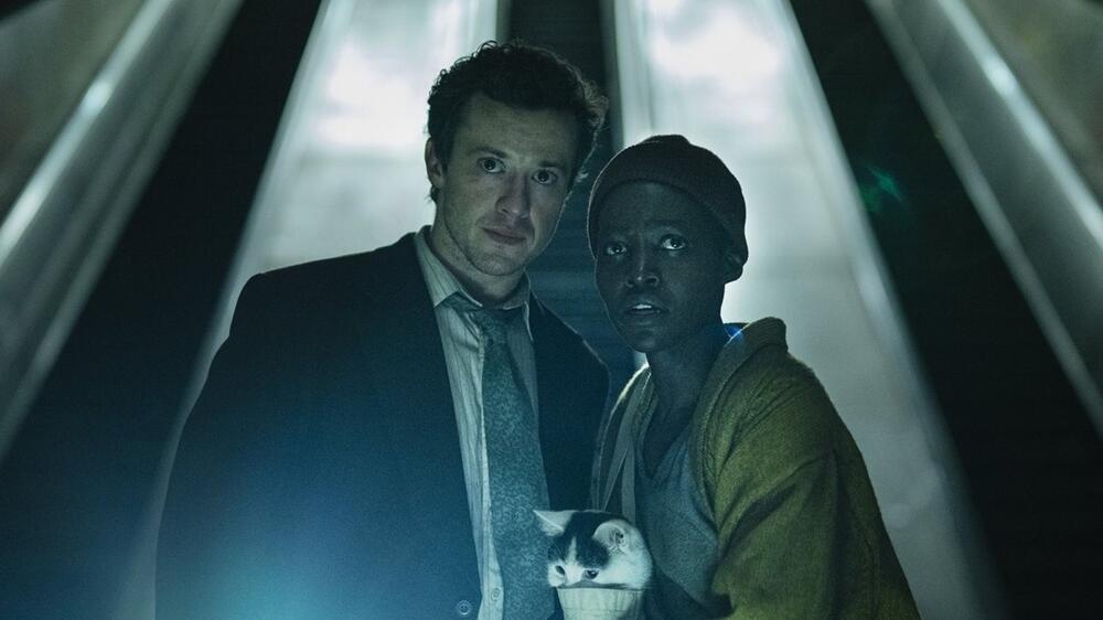 Frischfleisch: "Stranger Things"-Star Joseph Quinn und Oscarpreisträgerin Lupita Nyong'o spielen ...