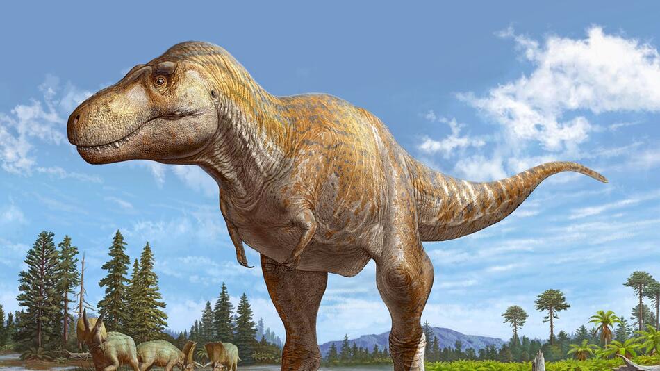 Studie: Engster Verwandter von T.rex entdeckt