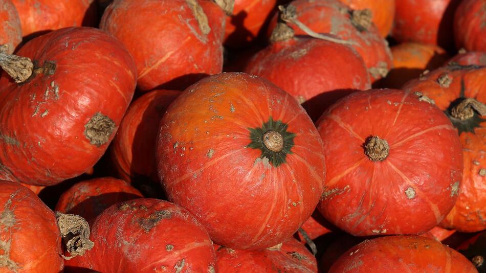 Preisanstieg bei Obst und Gemüse ebbt ab