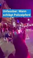 Mann schlägt Polizeipferd