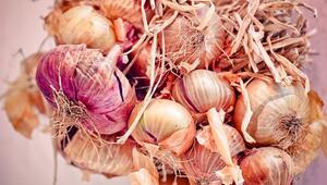 Zwiebeln Schalotten Unterschied