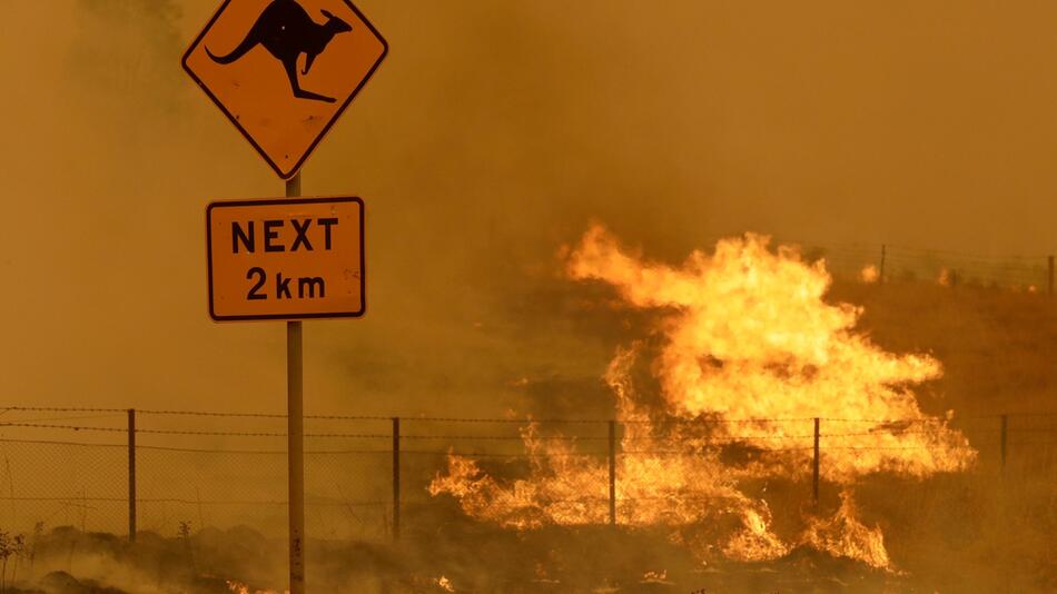 Sorge in Australien vor neuem "Schwarzen Sommer" wächst