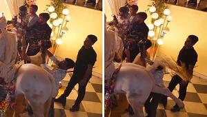 Teure Aufnahme: Pferd tritt Hochzeitsfilmer die Kamera aus der Hand