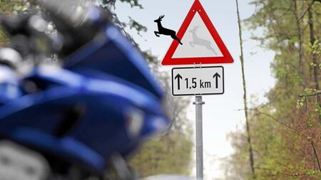 Wildunfälle mit Motorrädern: Wildwarnreflektoren haben kaum Einfluss