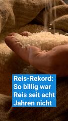 So billig war Reis seit acht Jahren nicht