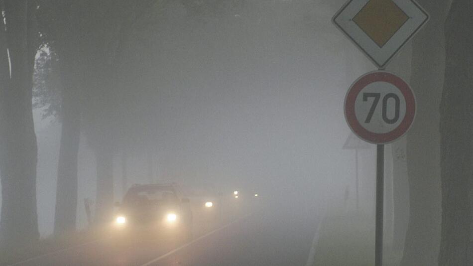 Autofahren im Herbst - So reagieren Sie richtig auf Nässe, Nebel und Wildwechsel