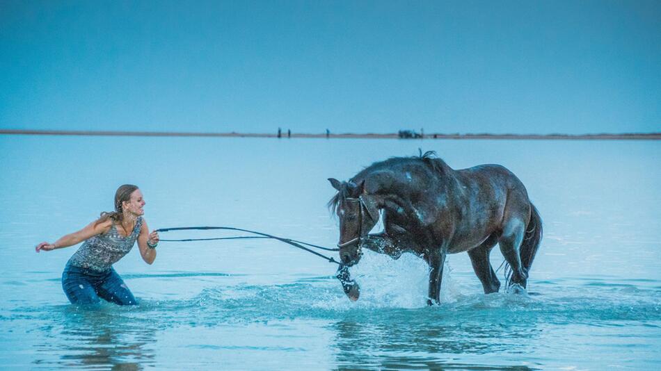 So kannst Du Dein Pferd ans Wasser gewöhnen.