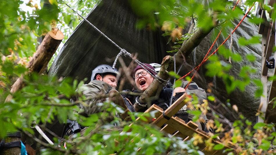 Hambacher Forst