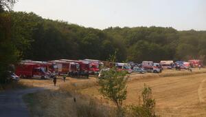 Waldbrand in Rheinland-Pfalz