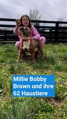 Millie Bobby Brown hat 62 Haustiere