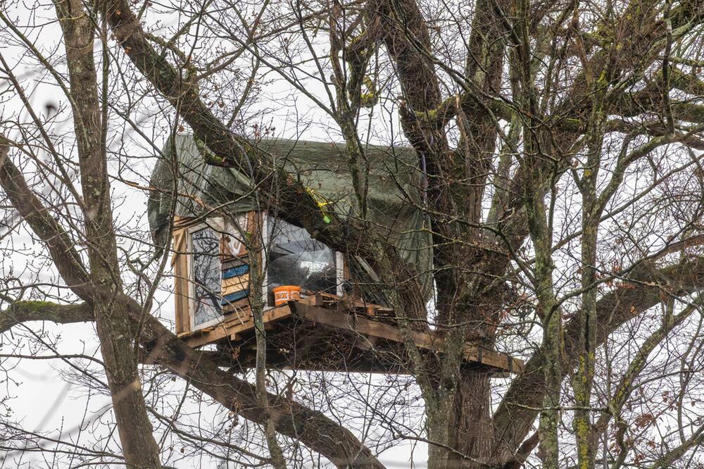 Aktivisten sollen Waldgebiet in Freiburg verlassen