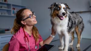 Tierärztin mit Hund