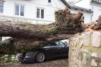 Nach Sturmtief "Sabine" - Hamburg