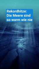 Rekordhitze: Die Meere sind so warm wie nie