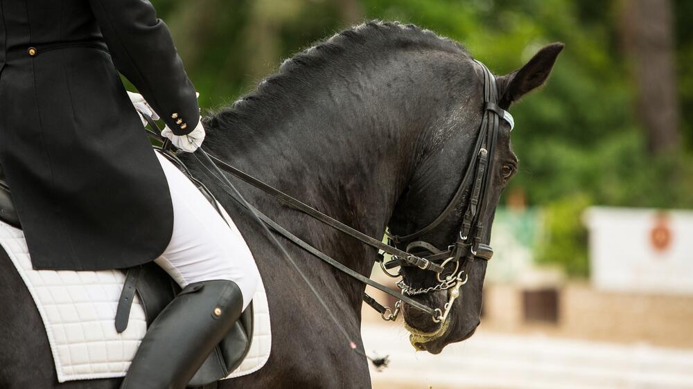 Charlotte Dujardin zeigt Reue.