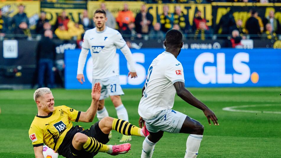 Borussia Dortmund - TSG 1899 Hoffenheim